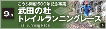 bnr_run2017