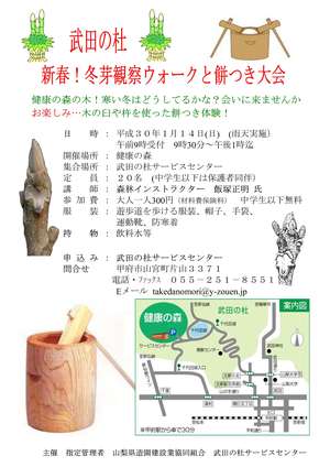 新春冬芽観察ウォークと餅-2
