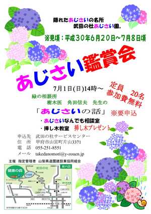 あじさいまつり