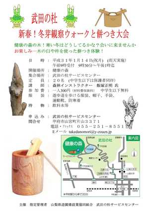 新春冬芽観察ウォークと餅