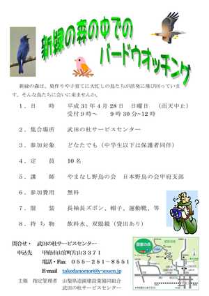 新緑の森の中でのバードウ