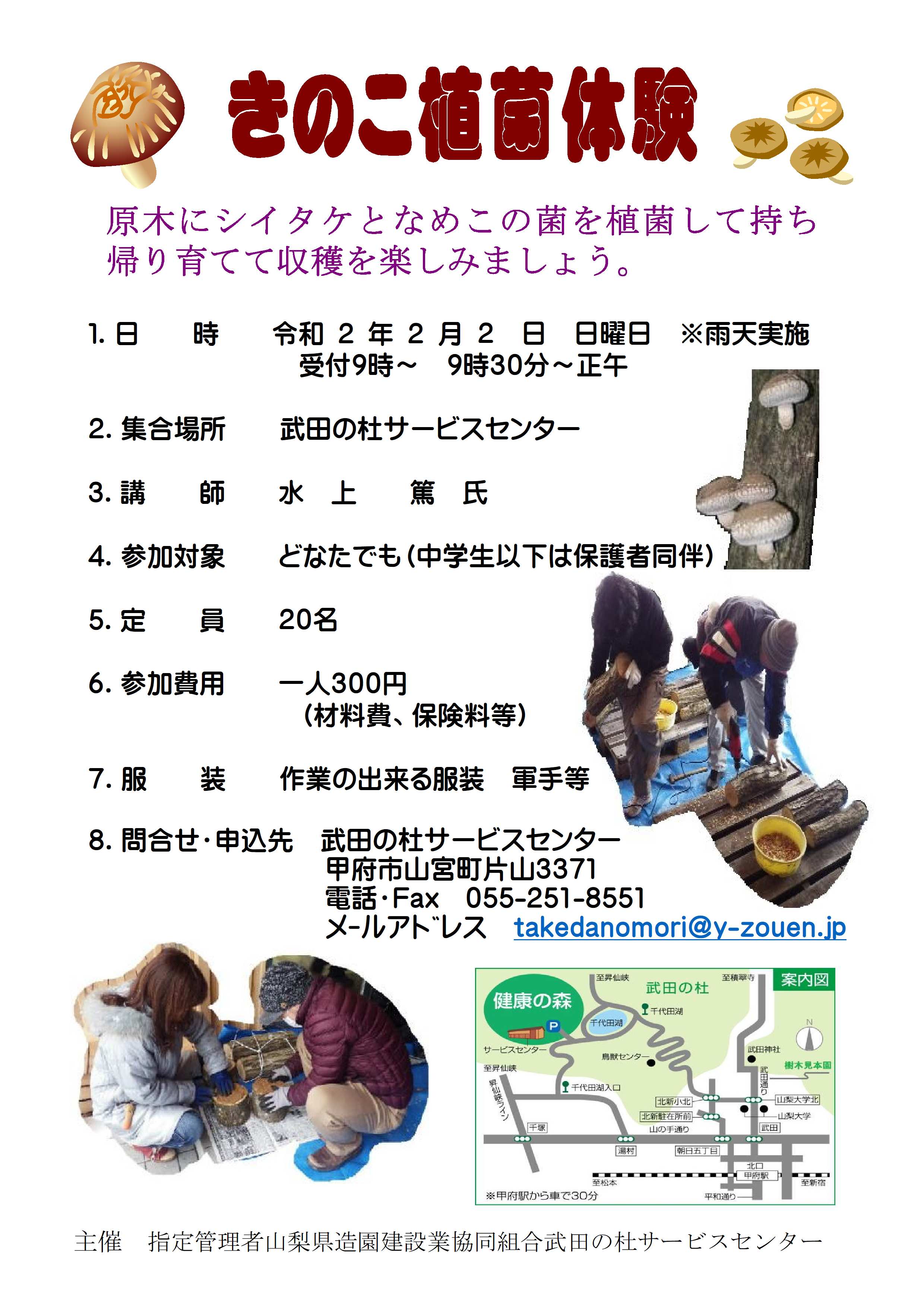 きのこの植菌体験ちらし元