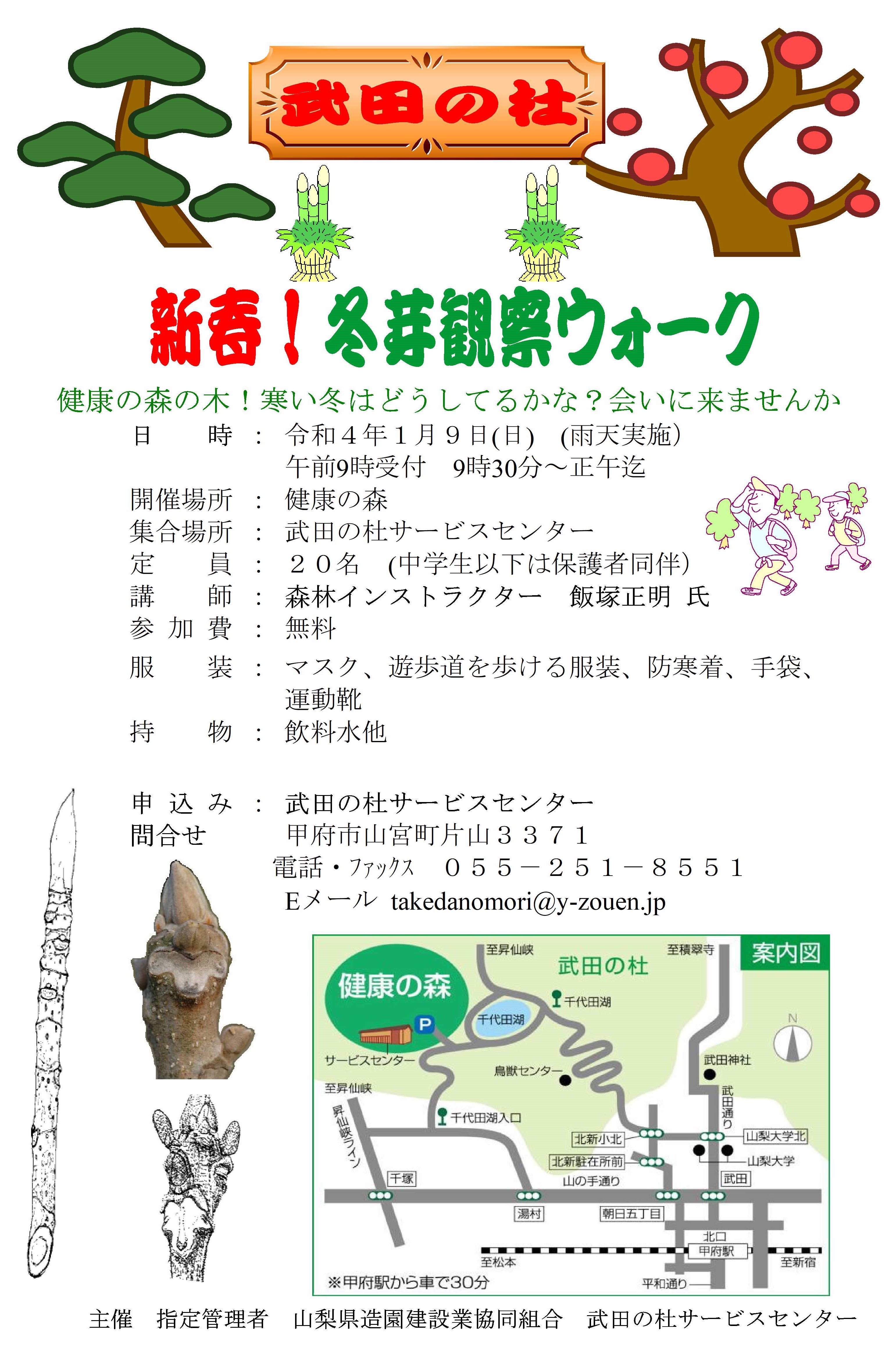 新春冬芽観察ウォークと餅2