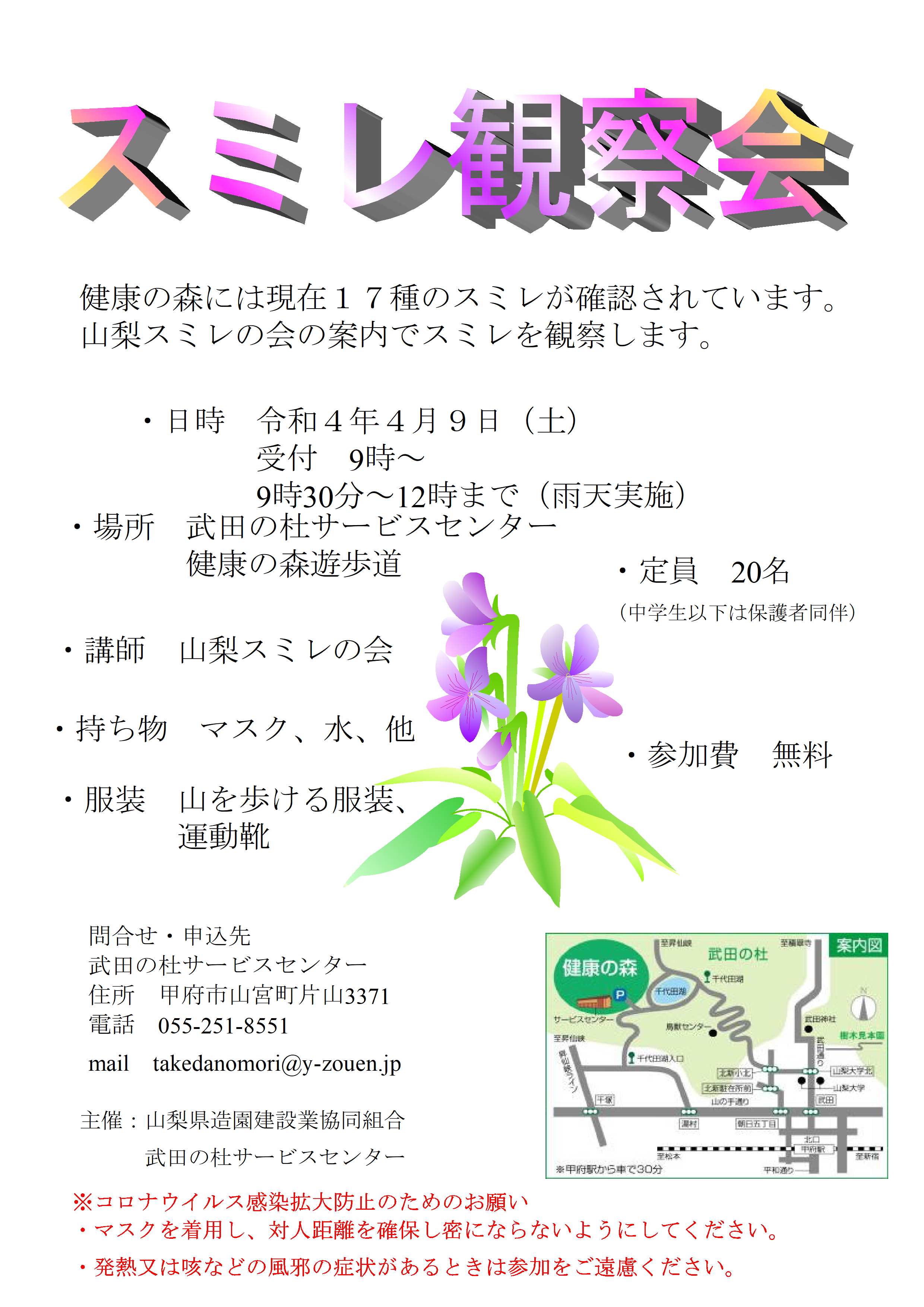 スミレ観察会チラシ
