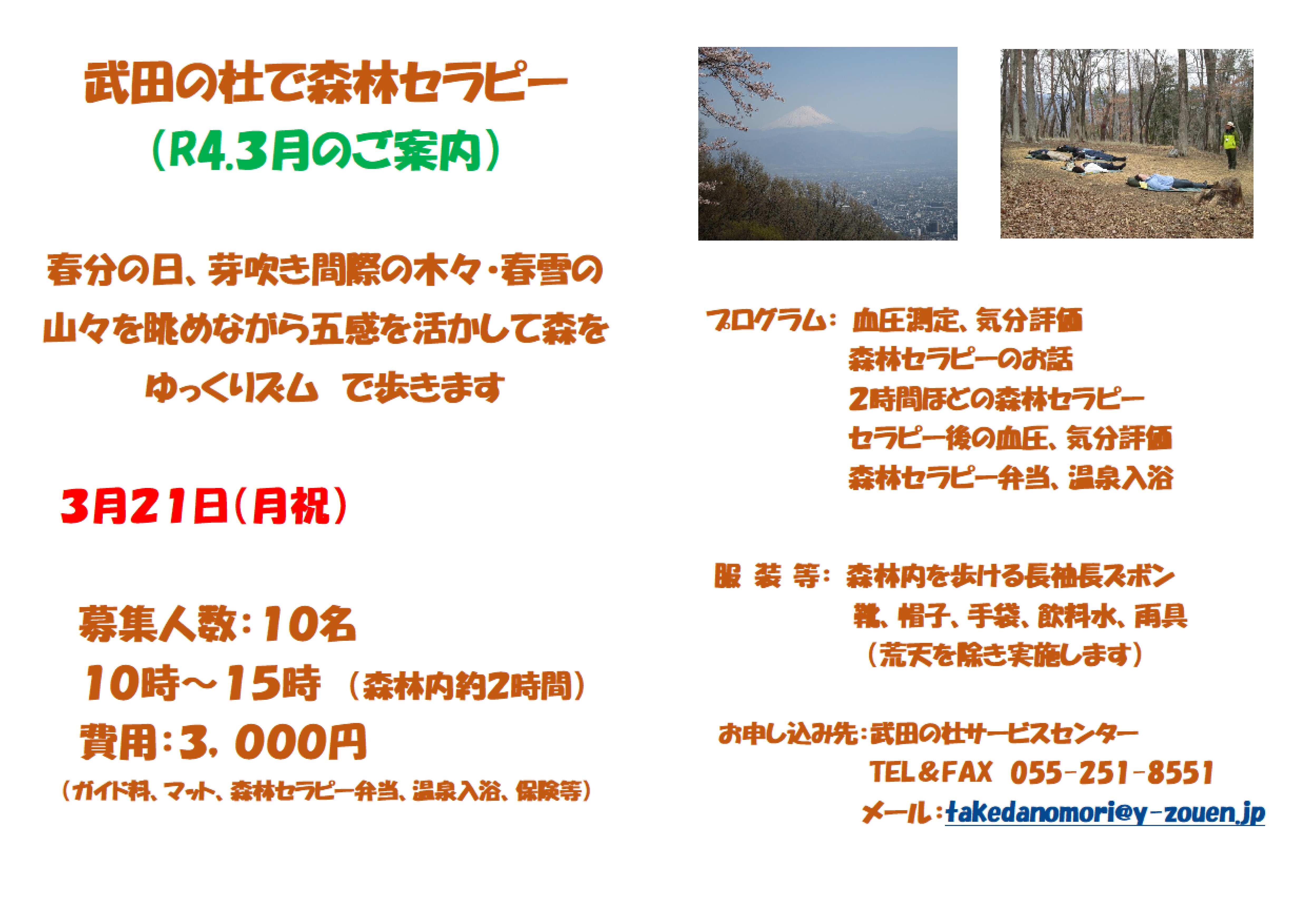 30321ｾﾗﾋﾟｰA3