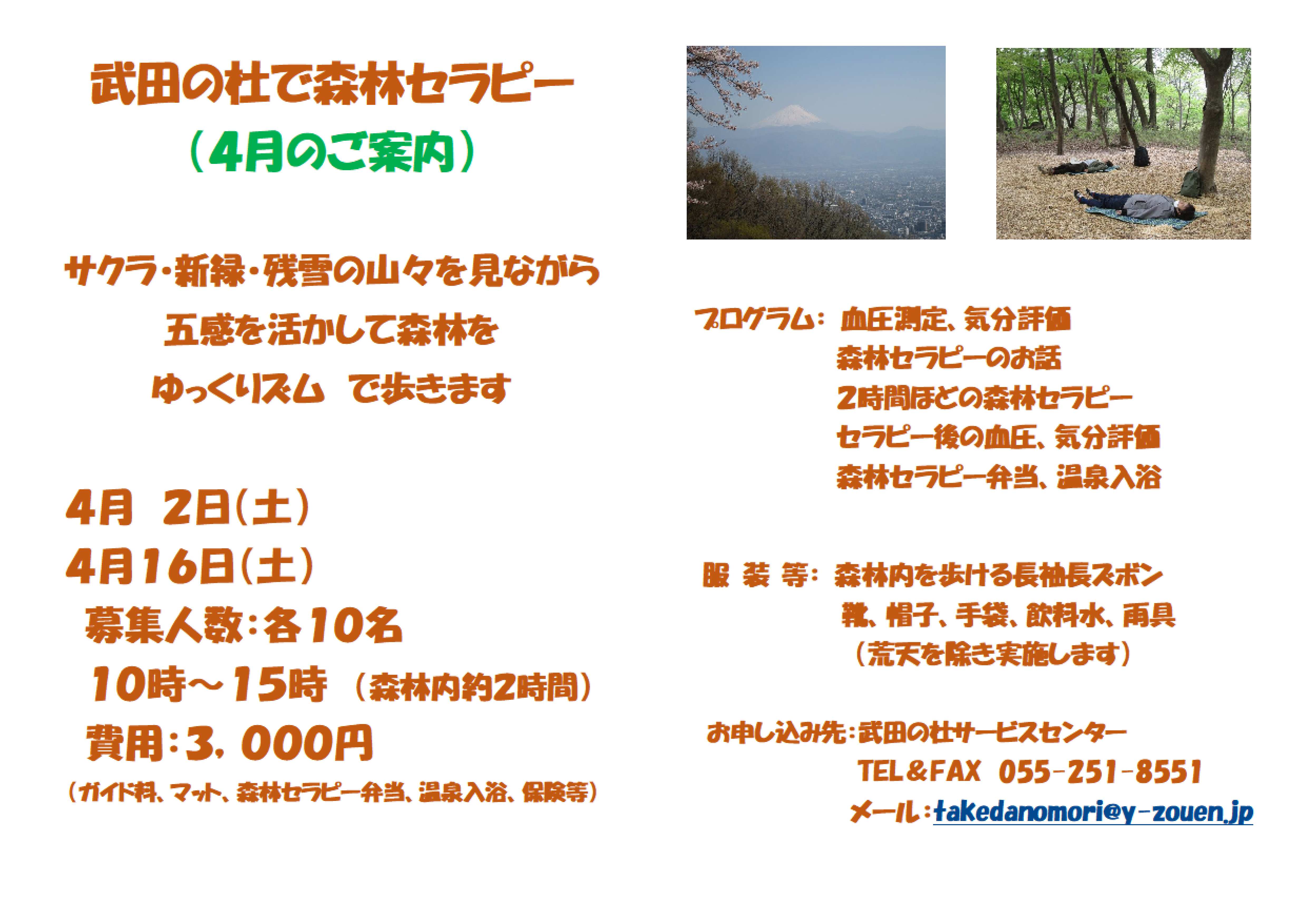 404森林セラピーA3