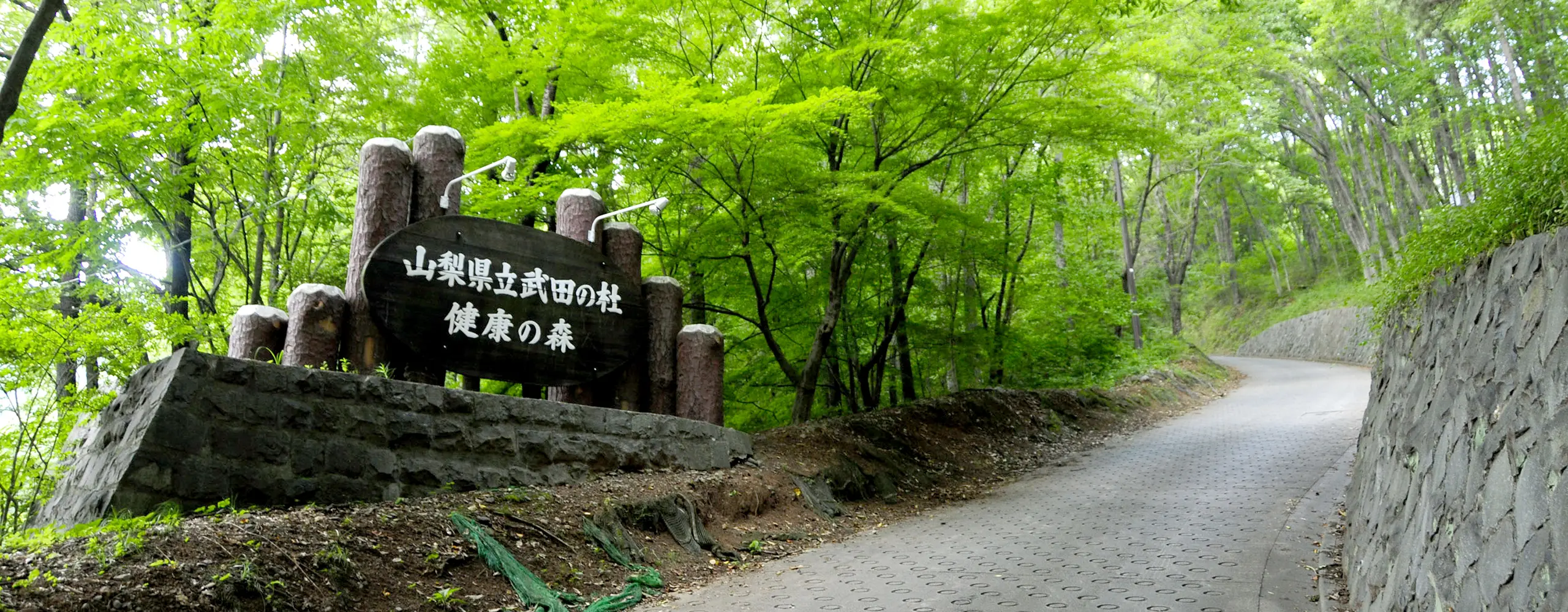 背景