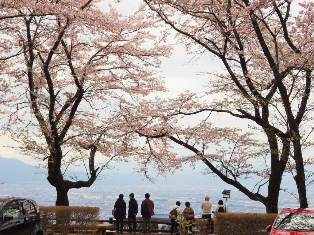 IMGP4711 (2)