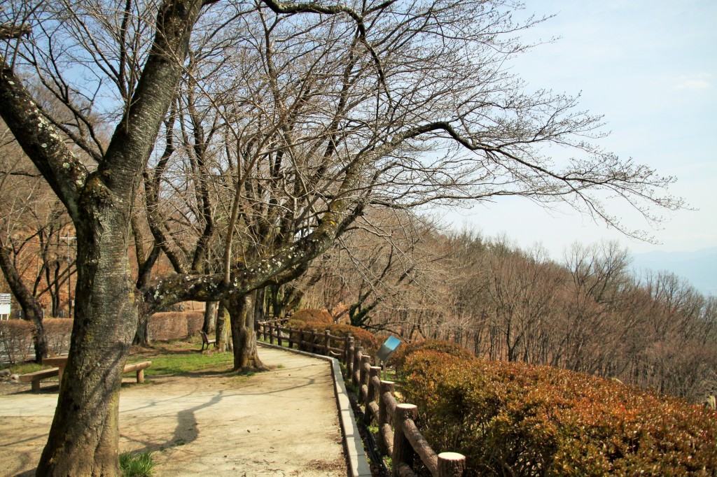 IMG_3860 (2)