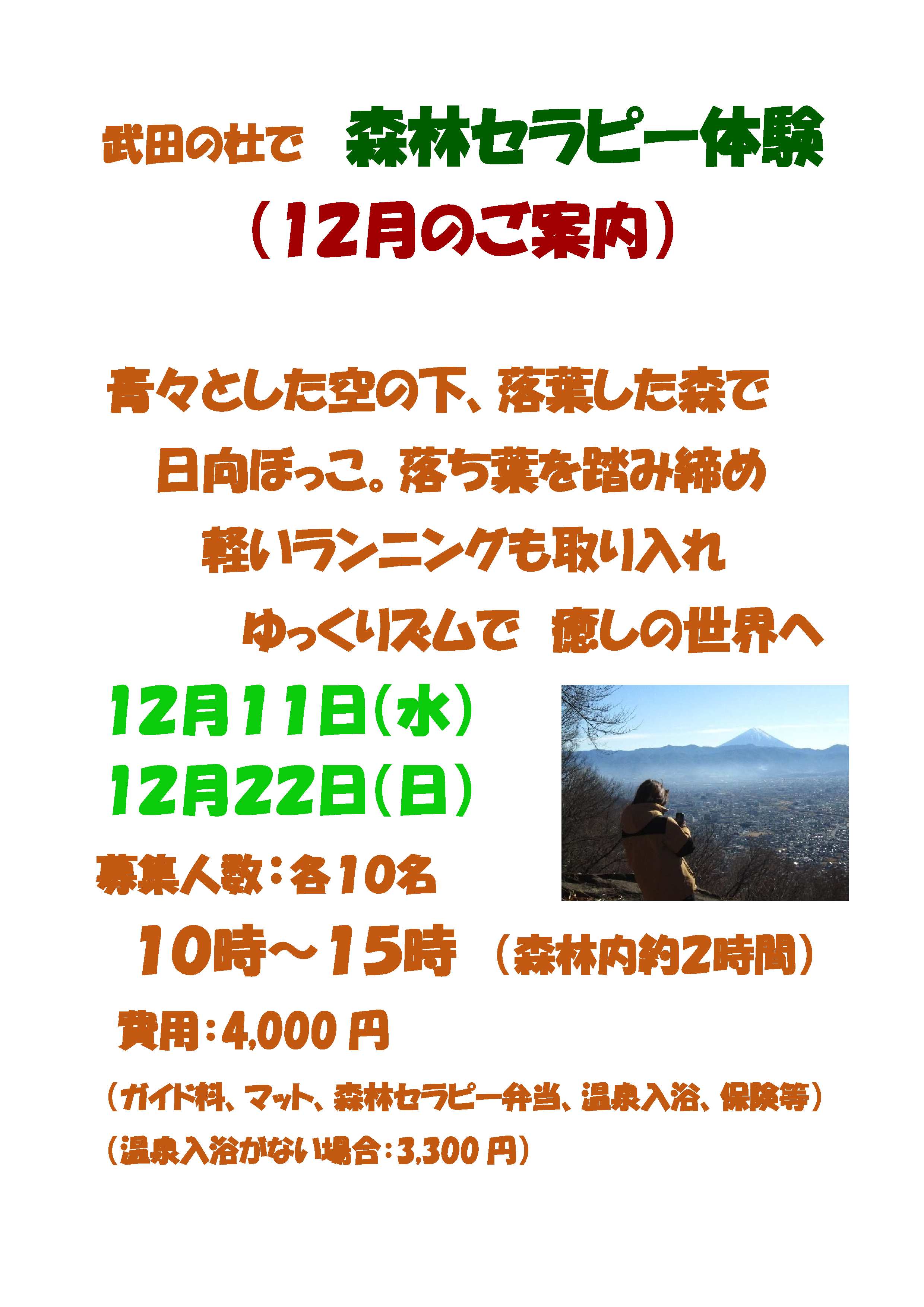 R6（12月）武田の杜で森林セラピー体験-1