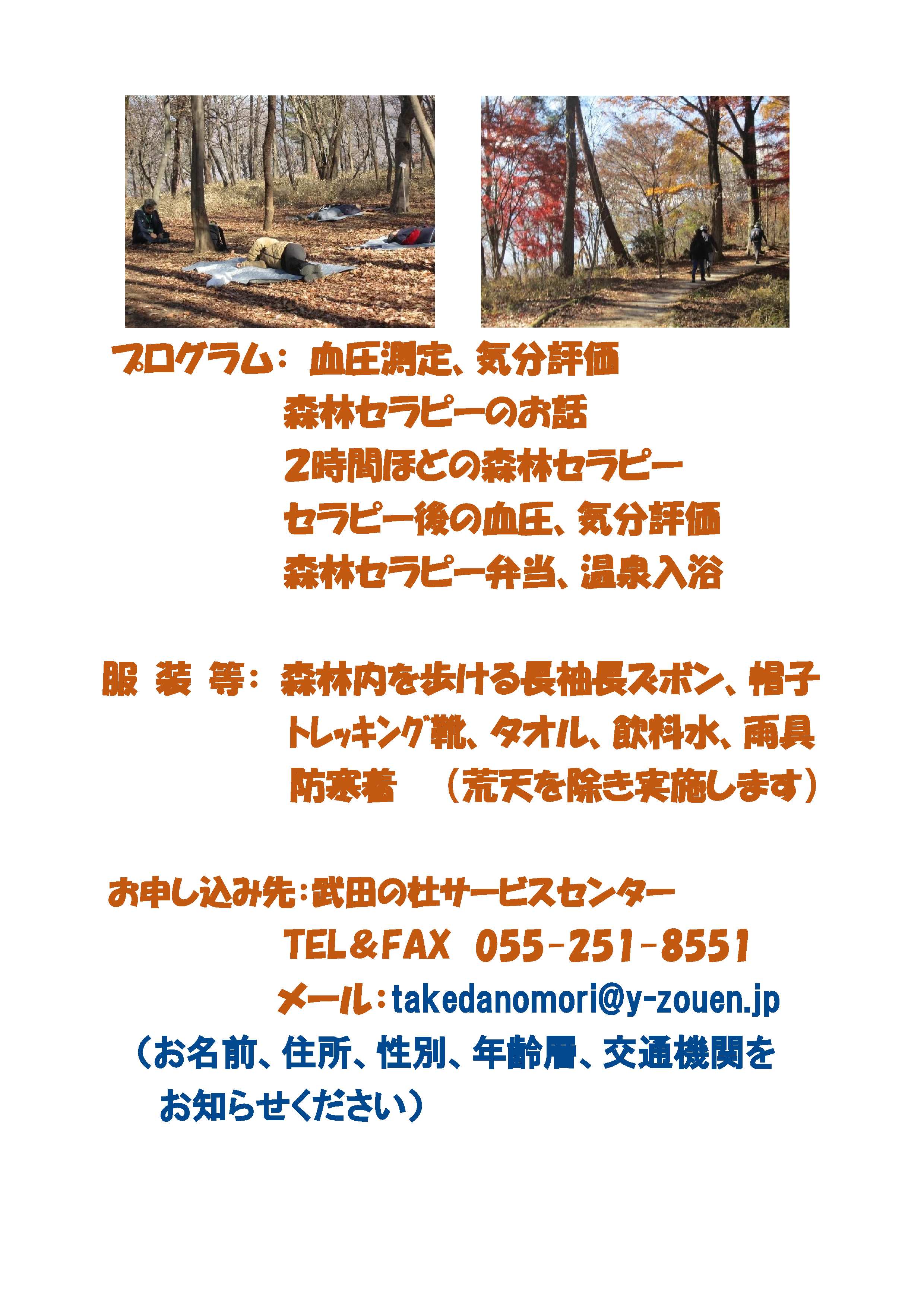 R6（12月）武田の杜で森林セラピー体験-2