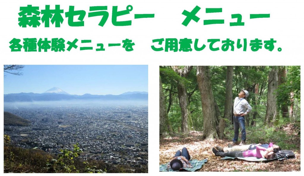 新セラピー表題
