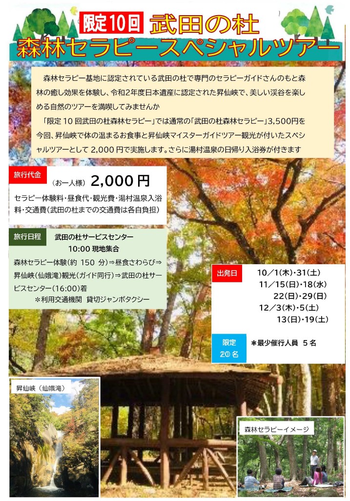 森林セラピーSP追加