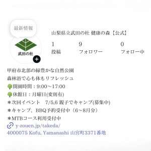公式インスタプロフ