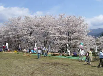 【春】