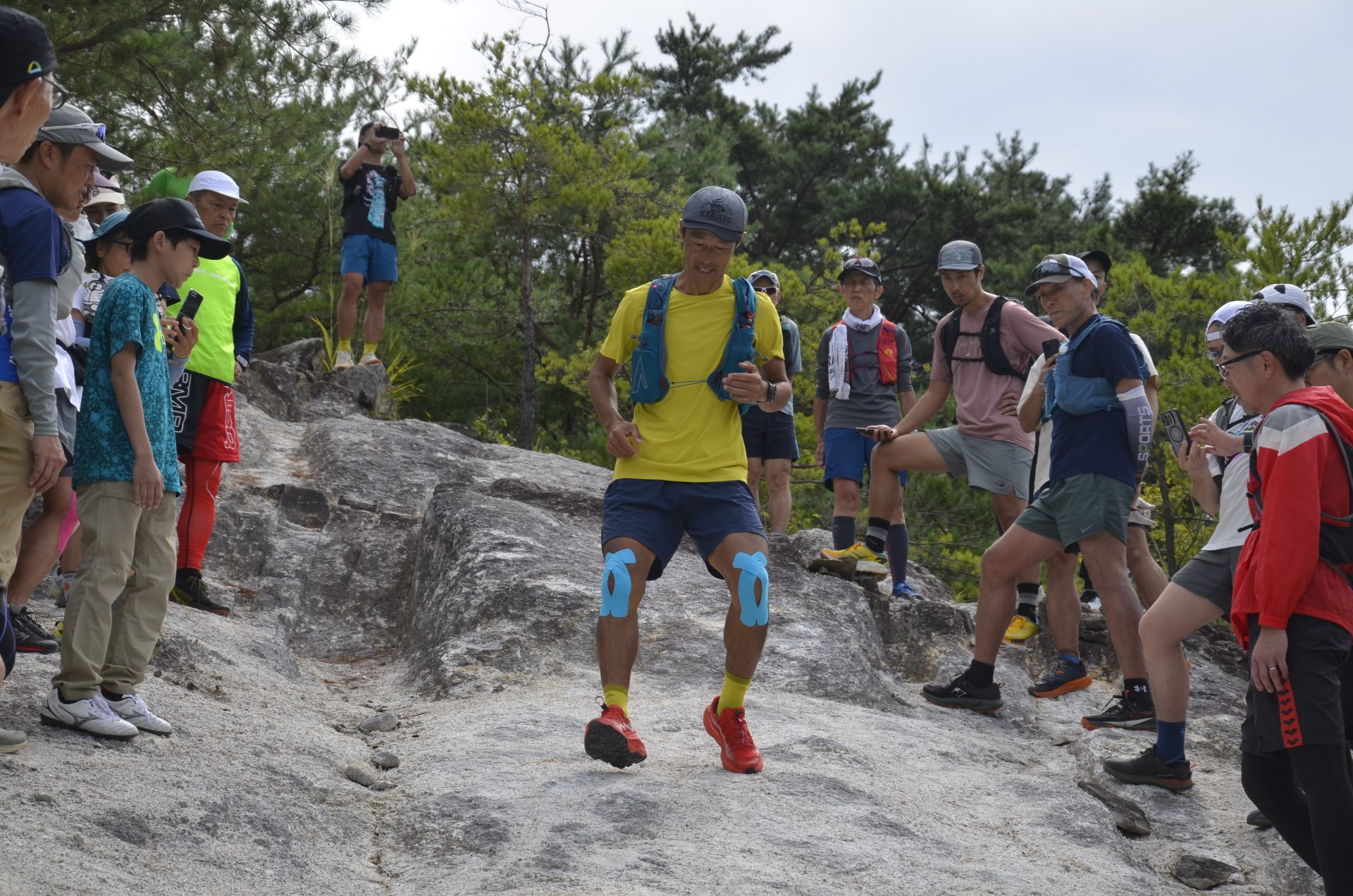 鳥獣センター スタッフ日記