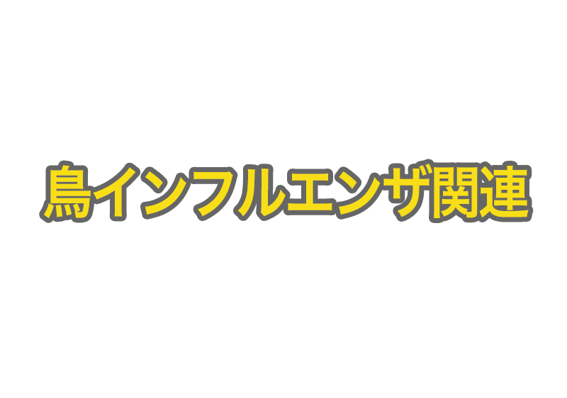 【お知らせ】傷病鳥類の受入れを再開します