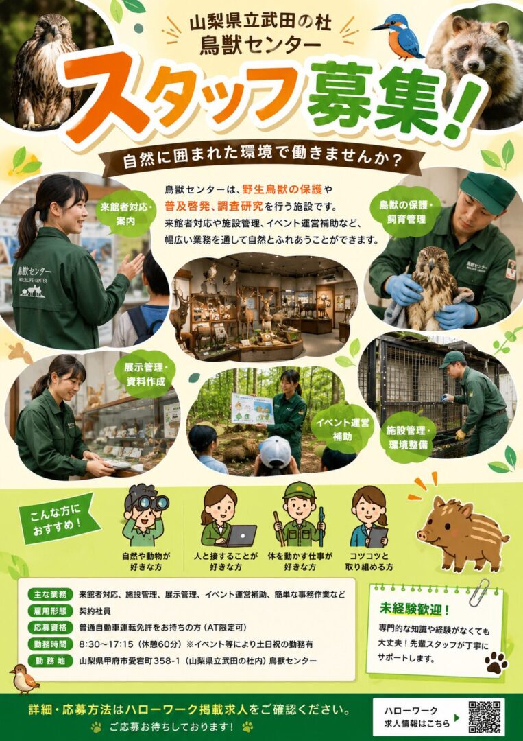 求人情報