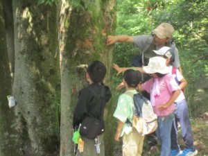 山梨県　山梨県造園組合　緑の相談所　山梨県緑化推進機構　親子緑の集い　やまなし山の日